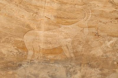 Peinture rupestre d'un bœuf - Plateau de Séfar dans le Tassili des Ajjers - Algérie