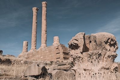 Timgad - Algérie