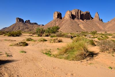 Tassili N'Ajjer - Wadi Essendilène -  Algérie 