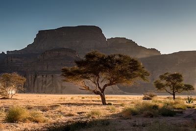 Djanet - Algerie