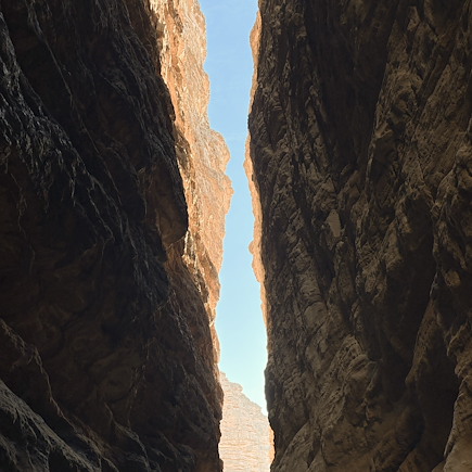 Randonnée avec chameau Algérie