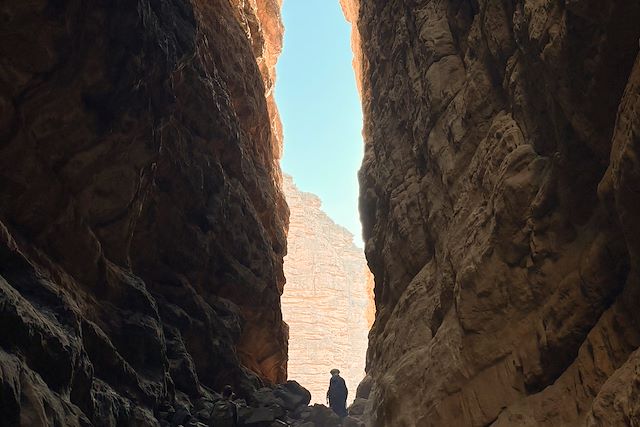 Randonnée avec chameau Algérie