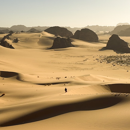 Randonnée avec chameau Algérie