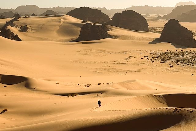 Randonnée avec chameau Algérie