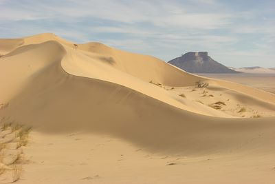 Tassili N'Ajjers - Algérie