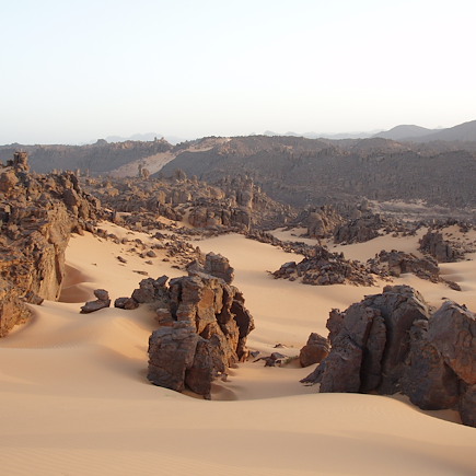 Randonnée avec chameau Algérie