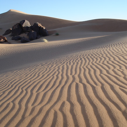 Randonnée avec chameau Algérie