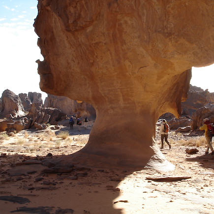 Randonnée avec chameau Algérie