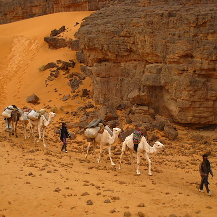 Randonnée avec chameau Algérie