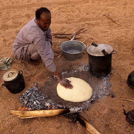 Randonnée avec chameau Algérie
