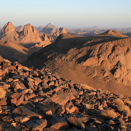 Randonnée avec chameau Algérie