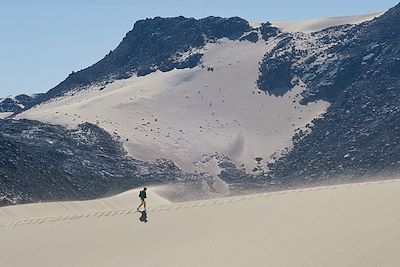L'Atakor, la Taessa et la Tefedest