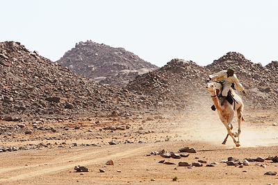 De l´Atakor à la Taessa - Hoggar - Algerie