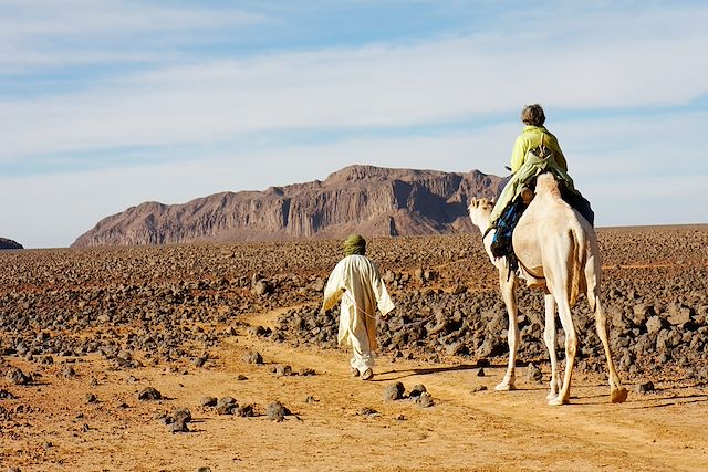 Randonnée avec chameau Algérie