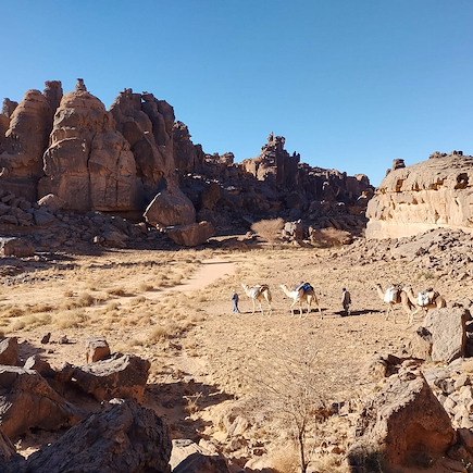 Randonnée avec chameau Algérie