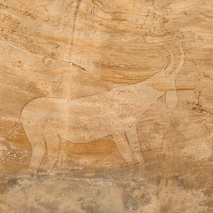 Randonnée avec chameau Algérie