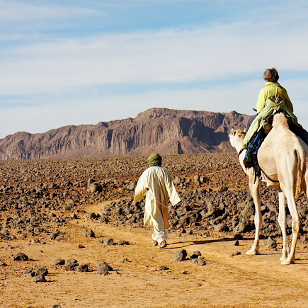 Randonnée avec chameau Algérie