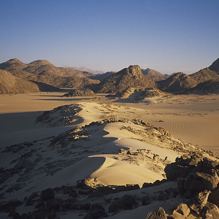 Randonnée avec chameau Algérie
