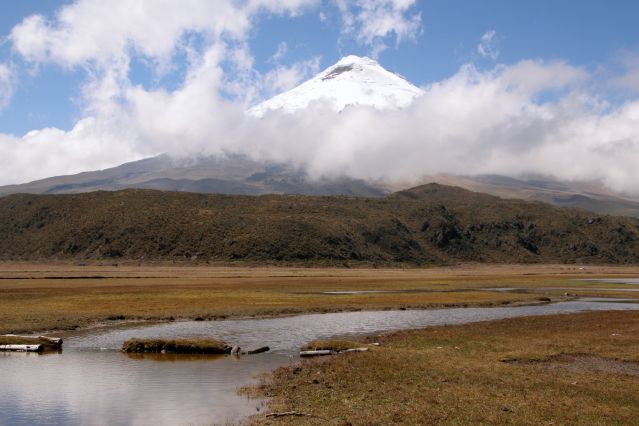 Image Richesses d'Équateur entre Cuyabeno et Galápagos
