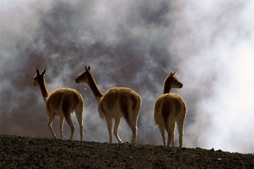 Voyage Jungle, volcans et archipel des Galápagos