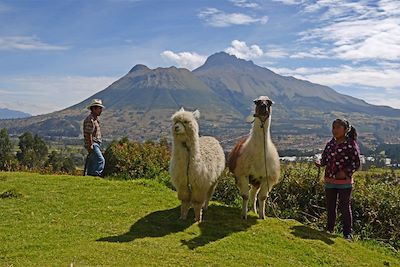 Voyage Volcans glacés et lianes géantes 2