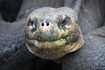 Voyage Objectif Galápagos 1