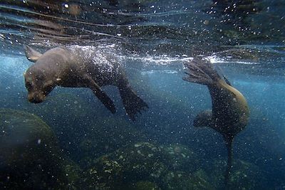Objectif Galápagos