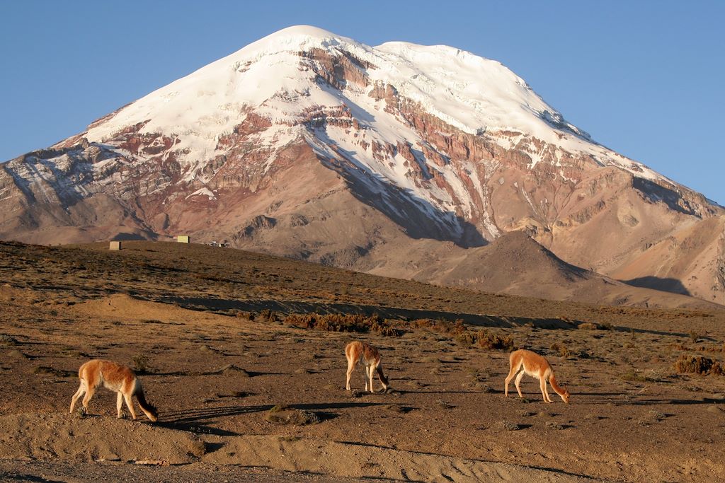 Image Randonnée Otavalo - Trek Cotopaxi - Ascension Chimborazo