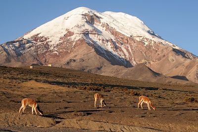 Volcan Chimborazo - Equateur