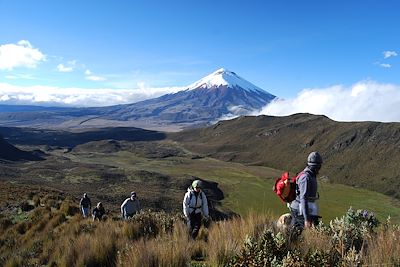 La Sierra - Cotopaxi - Equateur