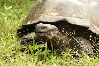 Voyage On a marché sur les Galápagos ! 3
