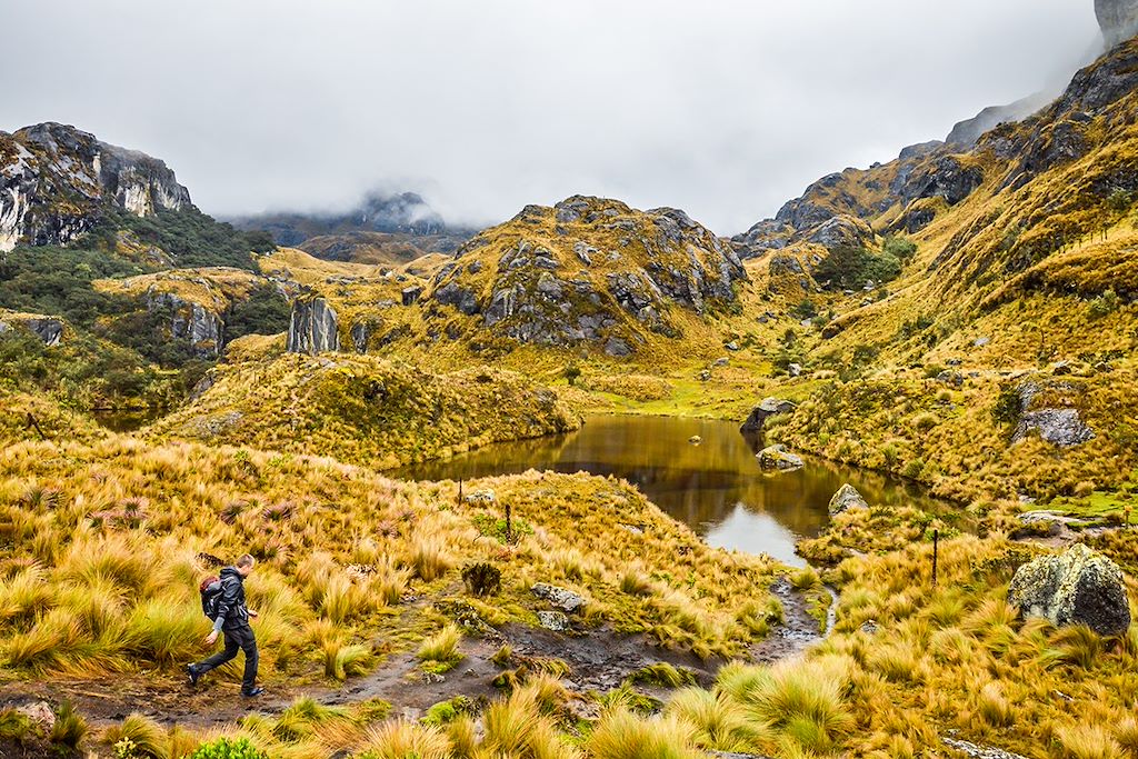 Image Autotour Equateur - Trek Cotopaxi - parc las Cajas