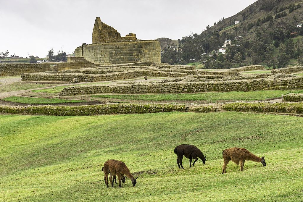 Image Autotour Equateur - Trek Cotopaxi - parc las Cajas