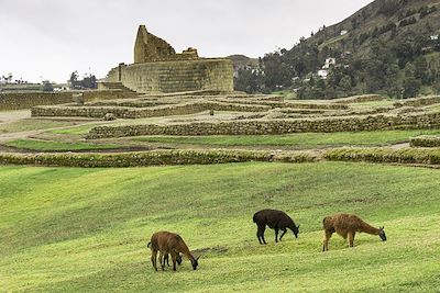 Site Inca d'Ingapirca - Equateur
