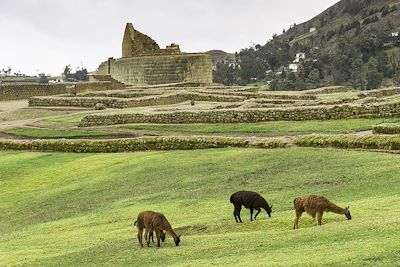 Site Inca d'Ingapirca - Equateur