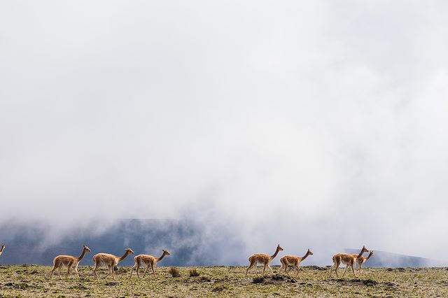 Voyage Sur la route des volcans