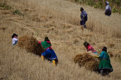 © Angel Martinez - Travail des femmes - Equateur Travail des femmes - Equateur