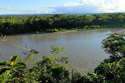 L'Amazone - Equateur