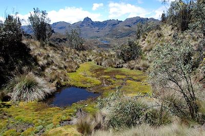 Parc national Cajas, entre Cuenca et Guayaquil - Équateur