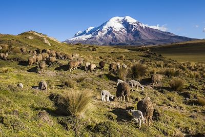 © PatricioHidalgoP / iStock - Volcan Chimborazo - Équateur Volcan Chimborazo - Équateur
