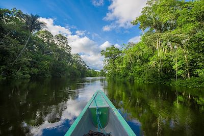 Réserve de Cuyabeno - Equateur