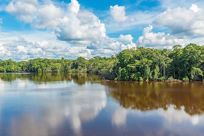 Forêt amazonienne - Equateur