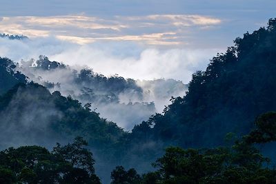 Andes - Mindo - Equateur