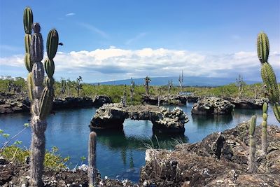 © Alain Capestan - Los Tuneles sur l'île Isabela - Îles Galápagos - Equateur Los Tuneles sur l'île Isabela - Îles Galápagos - Equateur