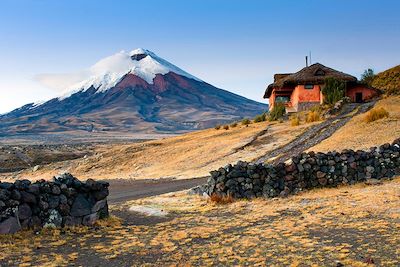 Volcan enneigé de Cotopaxi en Equateur