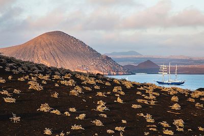 Archipel des Galapagos - Equateur