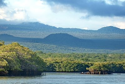 © Angela / Adobe Stock - Mangrove Caleta Tortuga Negra - Ile Baltra - Galapagos - Equateur Mangrove Caleta Tortuga Negra - Ile Baltra - Galapagos - Equateur
