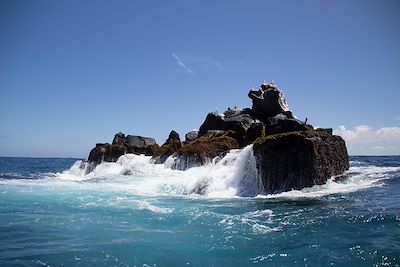 © Pablo Juarbe Martinez / Alamy / Hemis - Rocher - archipel des Galapagos Rocher - archipel des Galapagos