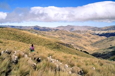 La ronde des volcans d'Equateur