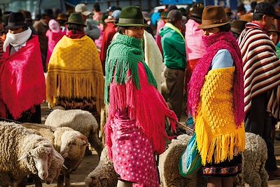 © SPANI Arnaud / hemis.fr - Marché de Zumbahua - Province de Cotopaxi - Equateur Marché de Zumbahua - Province de Cotopaxi - Equateur